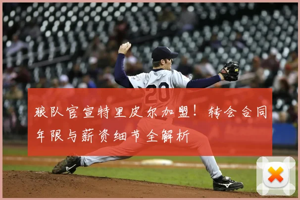 狼队官宣特里皮尔加盟！转会合同年限与薪资细节全解析
