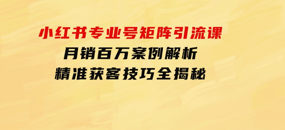小红书专业号矩阵引流课，月销百万案例解析，精准获客技巧全揭秘-沈文轻创