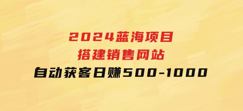 2024蓝海项目，搭建销售网站，自动获客，日赚500-1000-沈文轻创