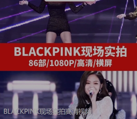 BLACKPINK现场实拍高清视频-沈文轻创