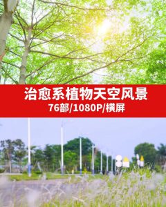 治愈系植物天空风景视频素材-沈文轻创