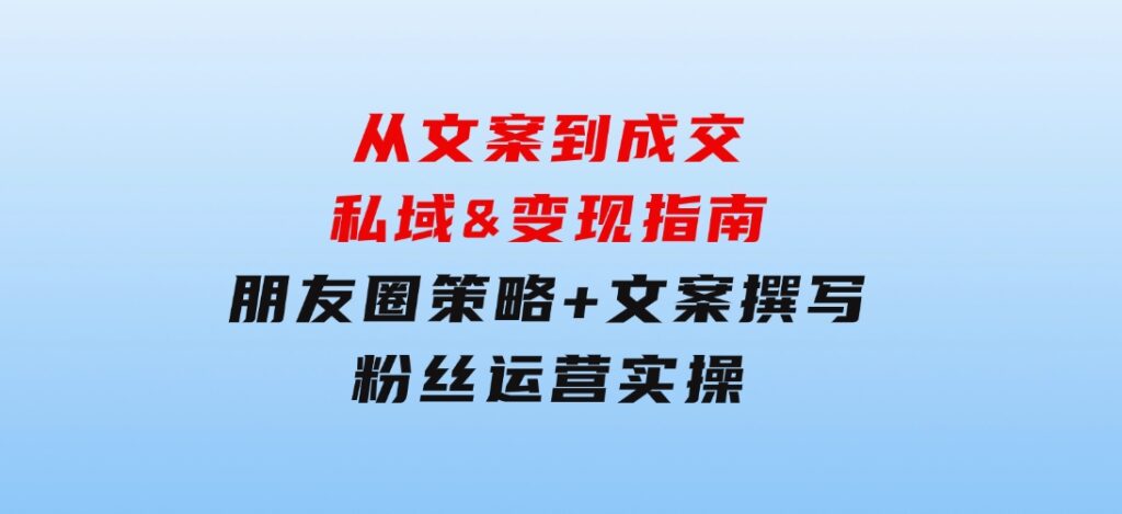 从文案到成交，私域&变现指南：朋友圈策略+文案撰写+粉丝运营实操-沈文轻创