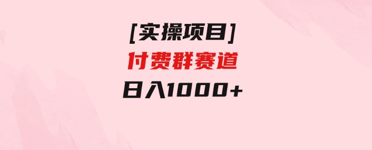 [实操项目]付费群赛道，日入1000+-沈文轻创