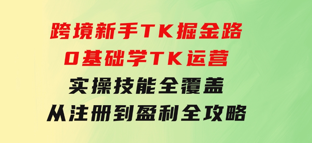 跨境新手TK掘金路：0基础学TK运营，实操技能全覆盖，从注册到盈利全攻略-沈文轻创