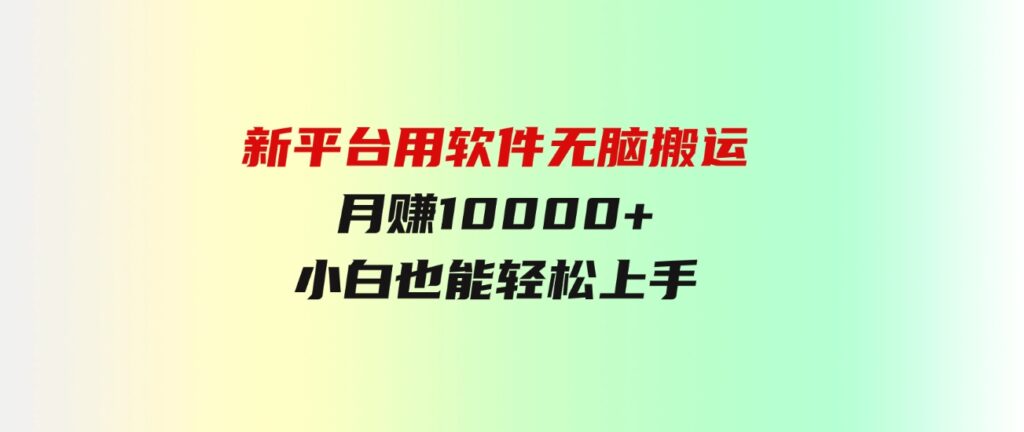 （9745期）新平台用软件无脑搬运，月赚10000+，小白也能轻松上手-沈文轻创