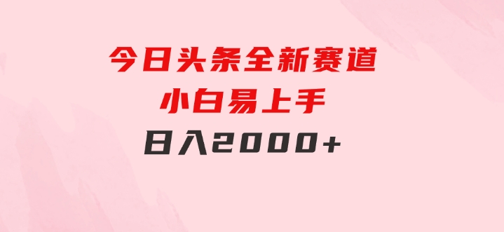 今日头条，全新赛道，小白易上手，日入2000+-沈文轻创
