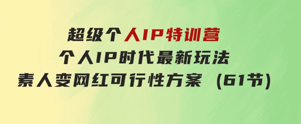 超级个人IP特训营，个人IP时代才最新玩法，素人变网红可行性方案(61节)-沈文轻创