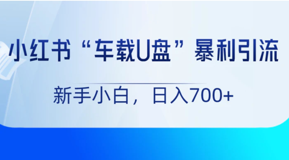 小红书“车载U盘”项目，暴利引流，新手小白轻松日入700+-沈文轻创