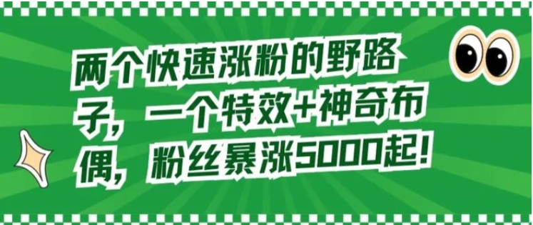 两个快速涨粉的野路子，一个特效+神奇布偶，粉丝暴涨5000起【揭秘】-沈文轻创