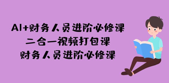 AI+财务人员进阶必修课二合一视频打包课，财务人员进阶必修课-沈文轻创