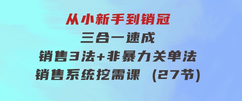 从小新手到销冠三合一速成：销售3法+非暴力关单法+销售系统挖需课(27节)-沈文轻创