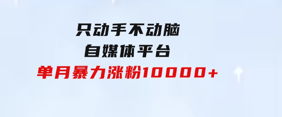 只动手不动脑，自媒体平台单月暴力涨粉10000+-沈文轻创