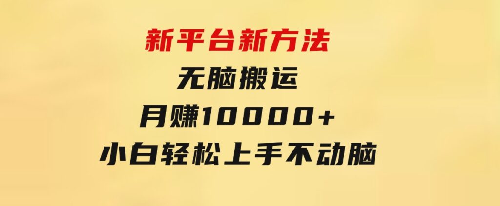 新平台新方法，无脑搬运，月赚10000+，小白轻松上手不动脑-沈文轻创