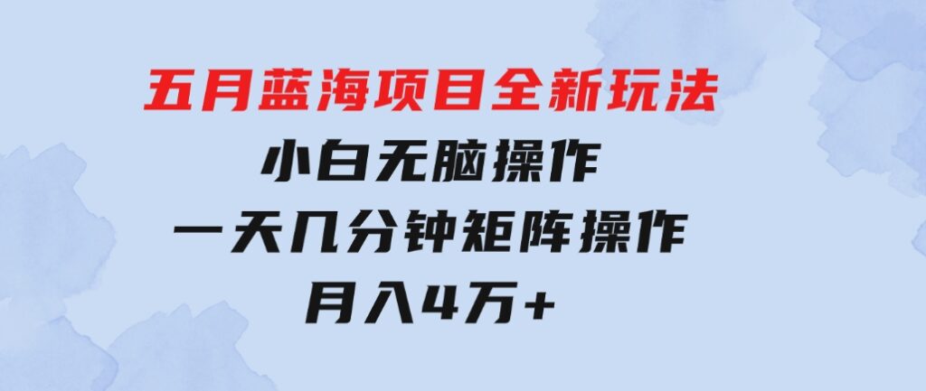 五月蓝海项目全新玩法，小白无脑操作，一天几分钟，矩阵操作，月入4万+-沈文轻创