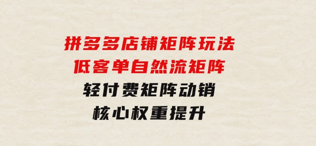 拼多多店铺矩阵玩法：低客单自然流矩阵/轻付费矩阵动销/核心权重提升-沈文轻创