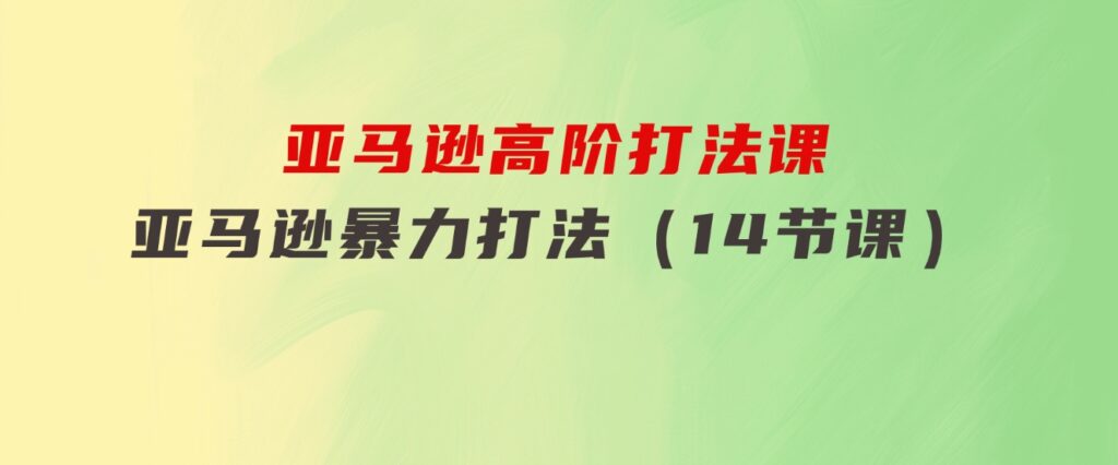亚马逊高阶打法课，亚马逊暴力打法（14节课）-沈文轻创