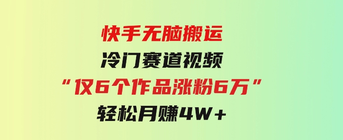 快手无脑搬运冷门赛道视频“仅6个作品涨粉6万”轻松月赚4W+-沈文轻创