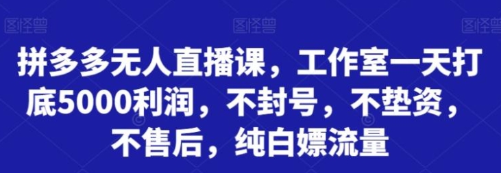 拼多多无人直播课，工作室一天打底5000利润，不封号，不垫资，不售后，纯白嫖流量-沈文轻创