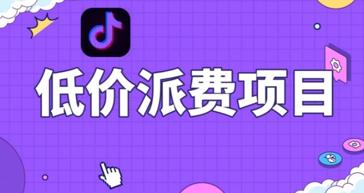 抖音低价派单项目，0门槛，日入1000+很轻松，小白可操作【揭秘】-沈文轻创
