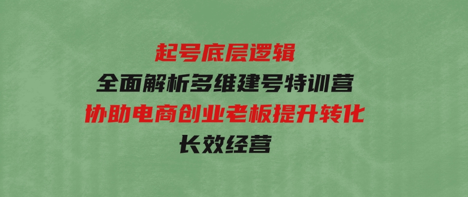 起号底层逻辑，全面解析多维建号特训营，协助电商创业老板提升转化，长效经营-沈文轻创