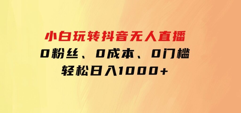小白玩转抖音无人直播，0粉丝、0成本、0门槛，轻松日入1000+-沈文轻创