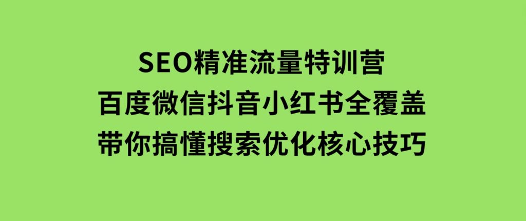 SEO精准流量特训营，百度微信抖音小红书全覆盖，带你搞懂搜索优化核心技巧-沈文轻创