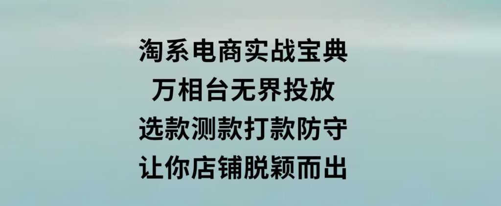 淘系电商实战宝典：万相台无界投放，选款测款打款防守，让你店铺脱颖而出-沈文轻创
