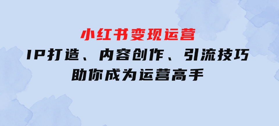 IP打造、内容创作、引流技巧助你成为运营高手-沈文轻创