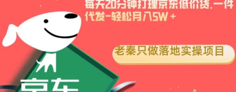 每天20分钟打理京东低价货，一件代发-轻松月入5W＋-沈文轻创