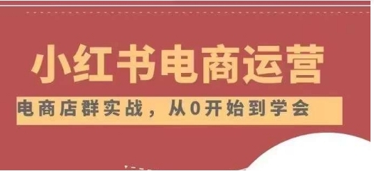 小红书店铺运营从小白到大神2.0，从入门到精通-沈文轻创