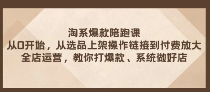 淘系爆款陪跑课从选品上架操作链接到付费放大全店运营打爆款系统做好店-沈文轻创