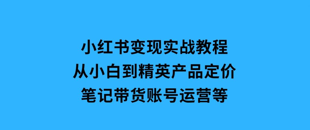 小红书变现实战教程：从小白到精英，产品定价，笔记带货，账号运营等-沈文轻创