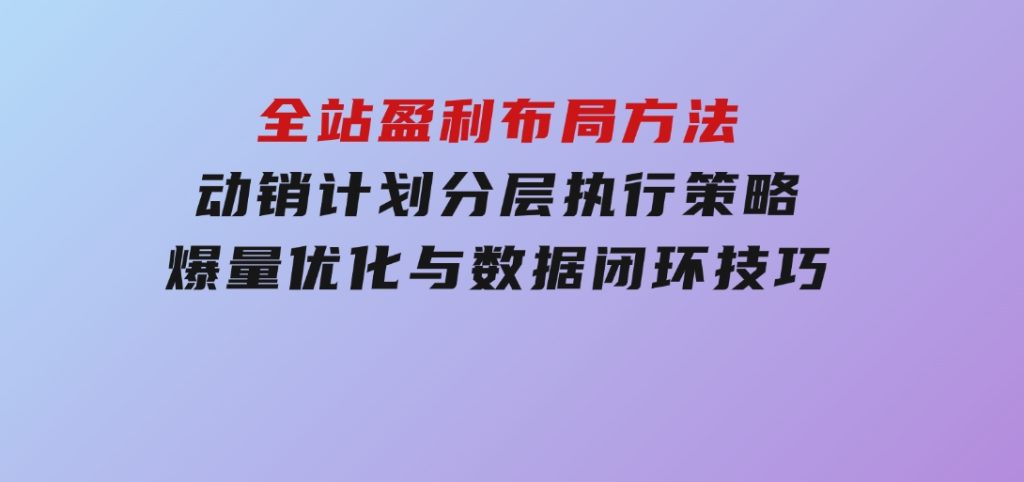 全站盈利布局方法：动销计划分层执行策略，爆量优化与数据闭环技巧-沈文轻创