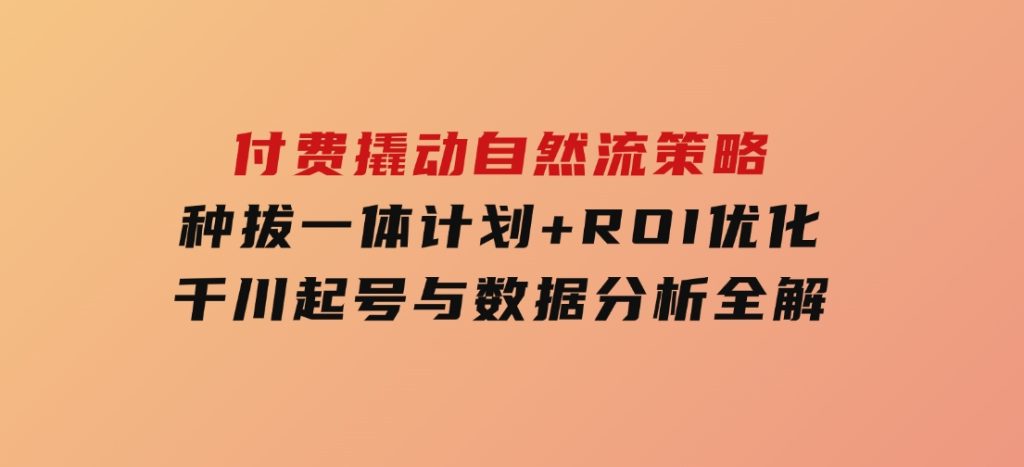 付费撬动自然流策略：种拔一体计划+ROI优化，千川起号与数据分析全解-沈文轻创