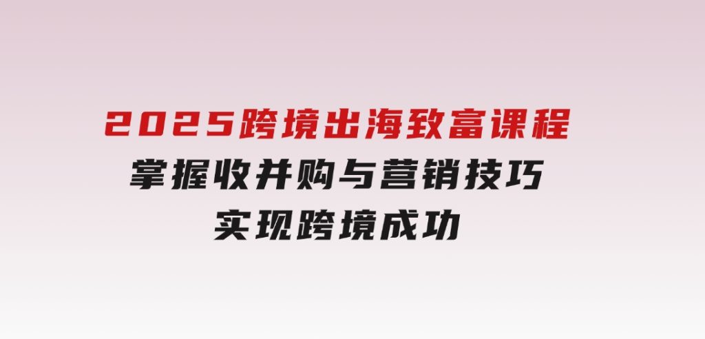 2025跨境出海致富课程，掌握收并购与营销技巧，实现跨境成功-沈文轻创
